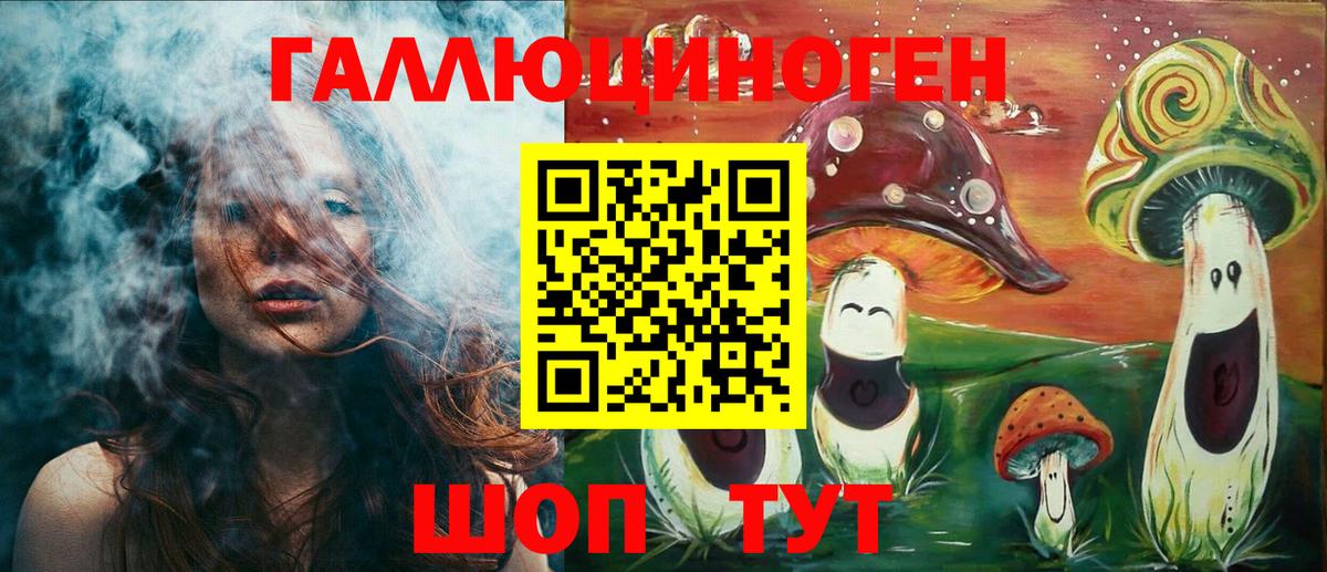 Галлюциногенные грибы Psilocybe Полысаево
