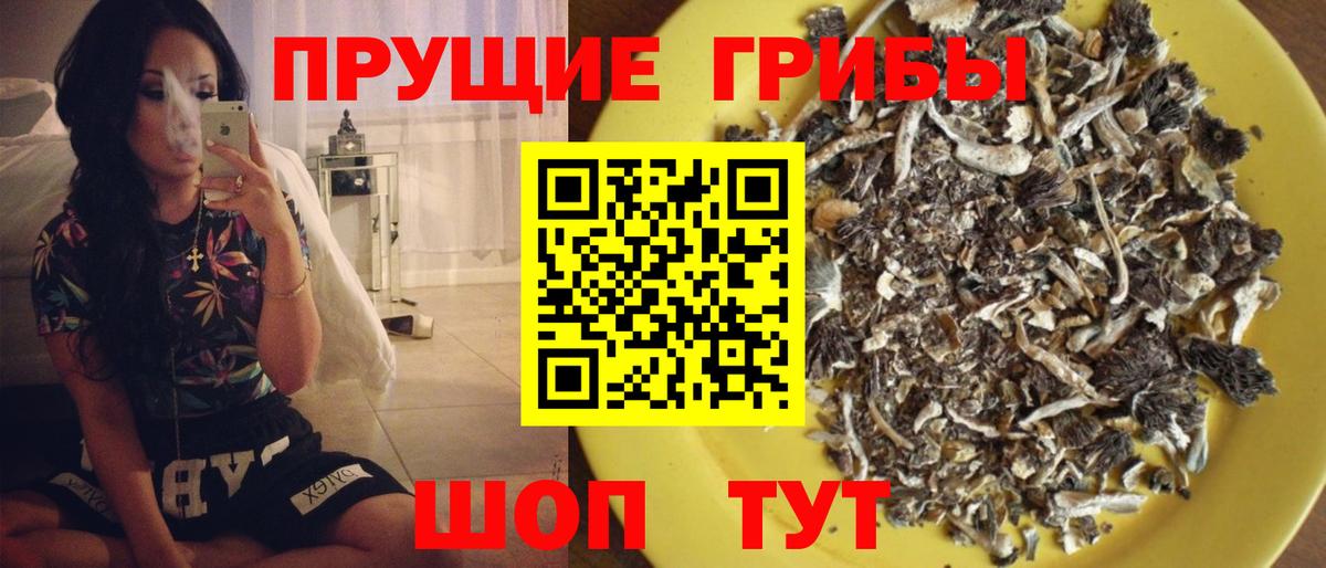 Галлюциногенные грибы GOLDEN TEACHER  Псилоцибиновые грибы ЛСД  Полысаево  Вход с VPN 